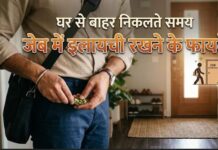 घर से बाहर निकलने से पहले जेब में इलायची रखने के फायदे जानते हैं आप? इंटरव्यू देने वाले तो जरूर रखें