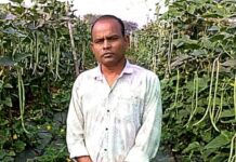फसल परिवर्तन से बढ़ा उत्पादन और मुनाफा