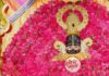 बाबा श्याम के दरबार में उमड़ी भीड़, लाल फूलों से सजा दरबार, VIP दर्शन पूरी तरह बंद