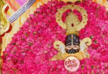 बाबा श्याम के दरबार में उमड़ी भीड़, लाल फूलों से सजा दरबार, VIP दर्शन पूरी तरह बंद