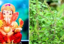 इसलिए भगवान गणेश को नहीं चढ़ती तुलसी