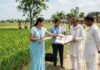 जमीन मालिकों के लिए बड़ी खुशखबरी, अब घर बैठे होगा सीमांकन का आवेदन