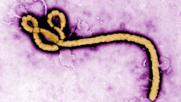 Ebola.jpg