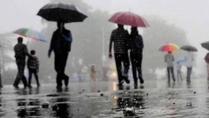 barish_25-sixteen_nine.jpg
