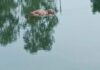 आखिरी बार कार सवार युवकों के साथ देखा गया था किन्नर, अब तालाब में मिला शव