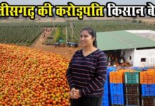 टमाटर बेचने का फैसला बदला जिंदगी, छत्तीसगढ़ की बेटी बनी करोड़पति; 100 से ज्यादा लोगों को रोजगार