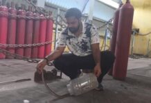 विश्वकर्मा पूजा के बीच फैला डर, फन फैलाकर बैठा था कोबरा; सुरक्षित किया गया रेस्क्यू