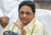 राजस्थान में बसपा का बढ़ा सियासी कद, 19 पार्षद जीते; मायावती ने बताया आगे का प्लान