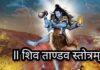 शिवतांडव स्तोत्र से मिलती है सिद्धि