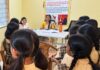 बिटिया @ वर्क : शासकीय कार्यालयों में पहुंचीं बेटियां, प्रशासनिक कामकाज को समझकर संजोए बड़े सपने