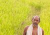 कृषक उन्नति योजना से शंकर प्रसाद की खेती को मिलेगा आर्थिक संबल, तीन एकड़ में सुगंधित धान की खेती पर मिलेंगे 45 हजार रुपये