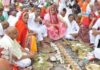तुलसी का पौधा बार-बार सूख रहा है? पितृपक्ष में न करें नजर अंदाज, हो सकता है पितृदोष