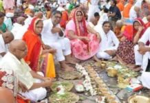 तुलसी का पौधा बार-बार सूख रहा है? पितृपक्ष में न करें नजर अंदाज, हो सकता है पितृदोष