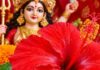 नवरात्रि में गुड़हल के फूल से करें ये उपाय, दूर हो जाएंगी परेशानियां, भर जाएगी तिजोरी
