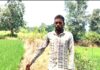 प्रधानमंत्री किसान सम्मान निधि से जिले के कृषक हो रहे समृद्ध