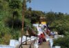 राजस्थान के प्रसिद्ध अधरदेवी मंदिर की खासियत, 365 सीढ़ियां चढ़ने के बाद मिलते हैं मां के दर्शन