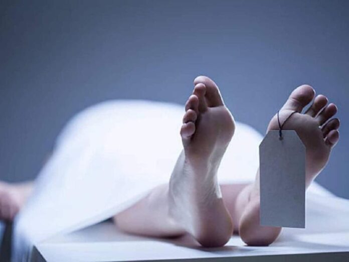 dead_1789058637114_7eb1e9bd-687c-1.jpg