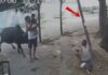 सांड के हमले का खौफनाक मंजर, बुजुर्ग और बच्चा घायल; कांग्रेस नेत्री अस्पताल पहुंचीं