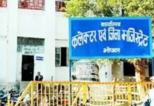 भ्रष्टाचार के 295 मामलों में मंजूरी का इंतजार, पटवारी केस में सरकार ने दी हरी झंडी