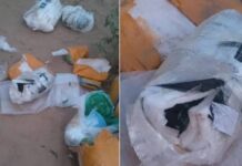 देश में हमले की साजिश का शक, भारत-पाक सीमा से RDX और हथियार बरामद