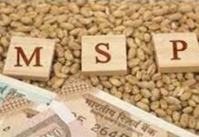 MSP पर उपज बेचने के लिए किसानों में उत्साह, 8.77 लाख ने कराया रजिस्ट्रेशन