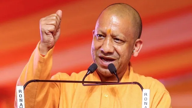 yogi-12-1773412272205_v.jpg